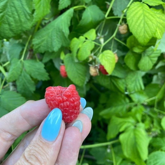 Meet your Posher, Lisa - Picture 1 of 1